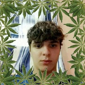 Meet your Posher, Zj